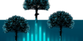 Logo Radio Voces de Araucaria
